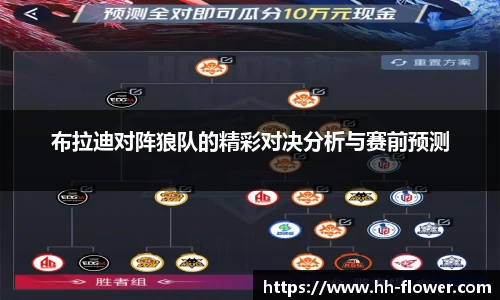 布拉迪对阵狼队的精彩对决分析与赛前预测