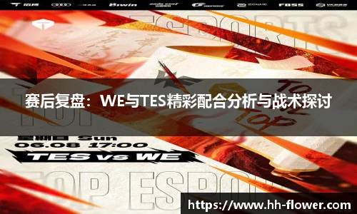 赛后复盘：WE与TES精彩配合分析与战术探讨